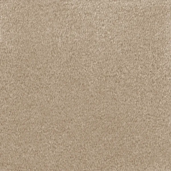 Twist Hunley Brewed Tea Carpet