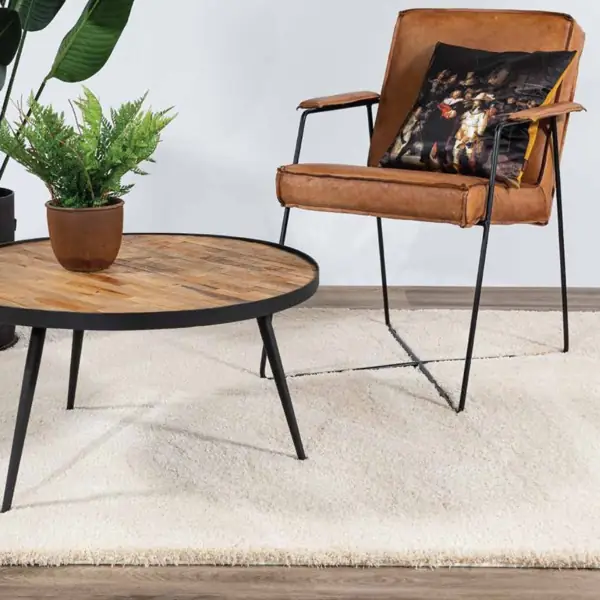 Palermo Carpet in UAE