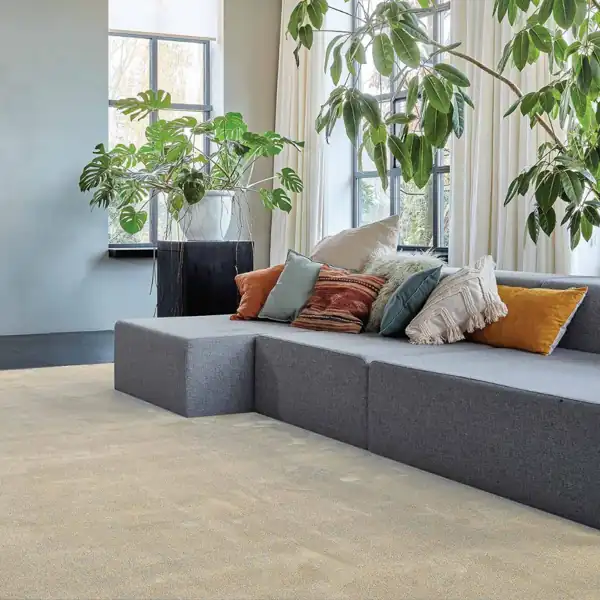 Switch 102 Sugar Carpet Dubai